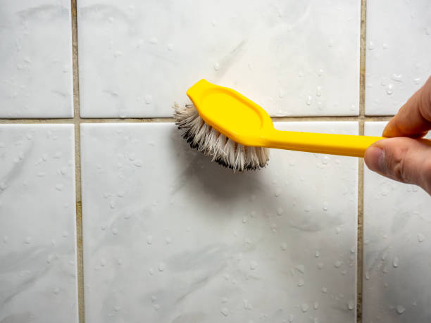 Best Certified Mold Removal  in Gonzales, TX