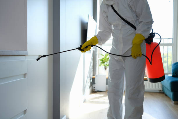 Mold Testing and Removal in Gonzales, TX