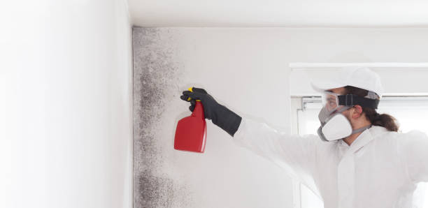 Best Residential Mold Removal  in Gonzales, TX